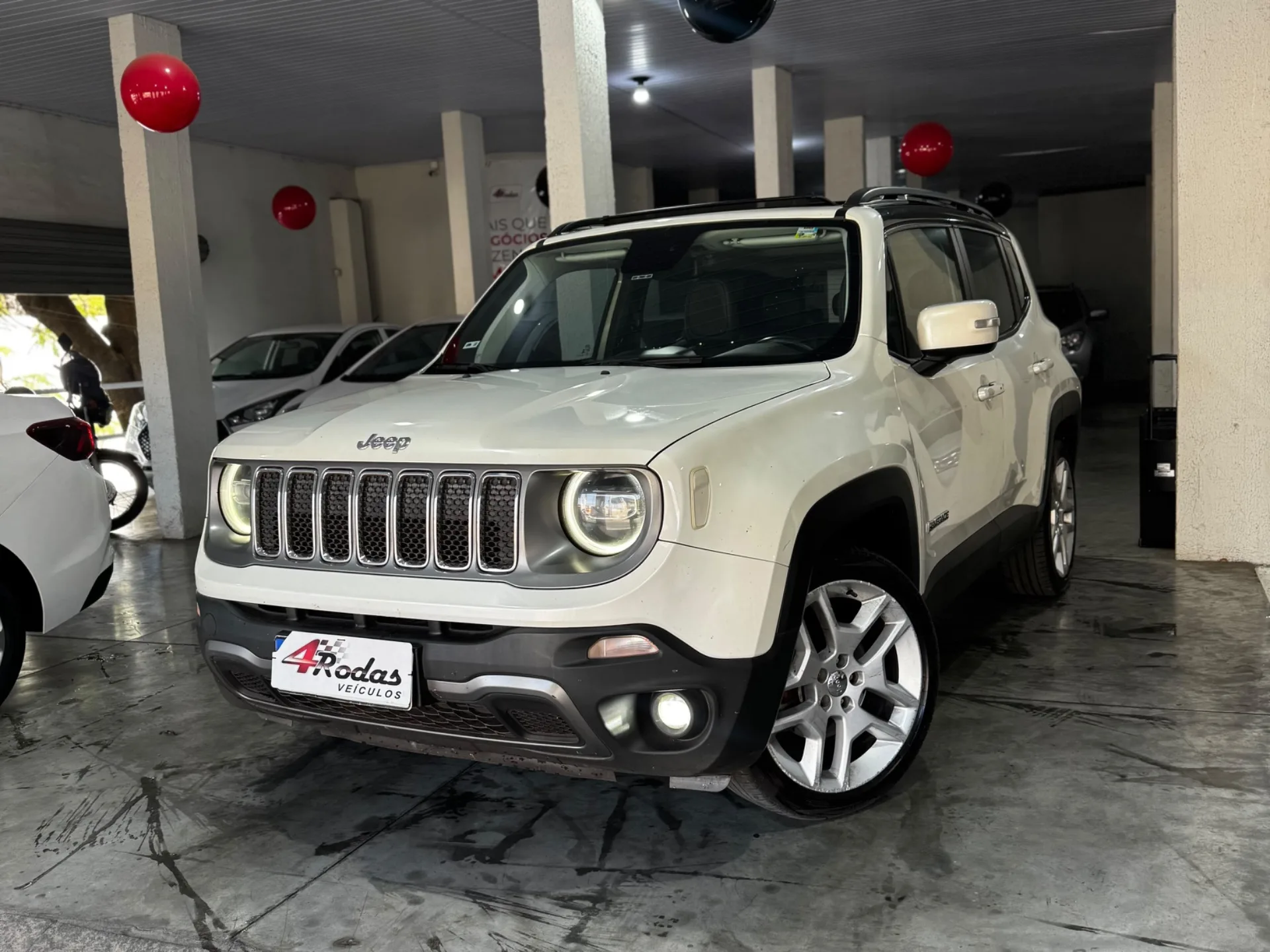 RENEGADE LIMITED